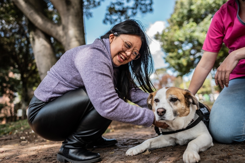 Animal Psychotherapy